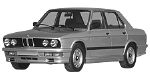 BMW E28 B251A Fault Code