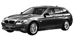 BMW F11 B251A Fault Code